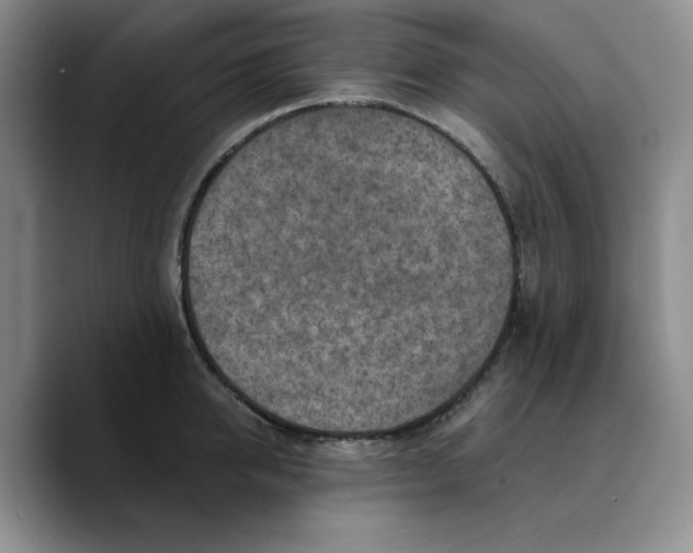 X0000089680950200707201657