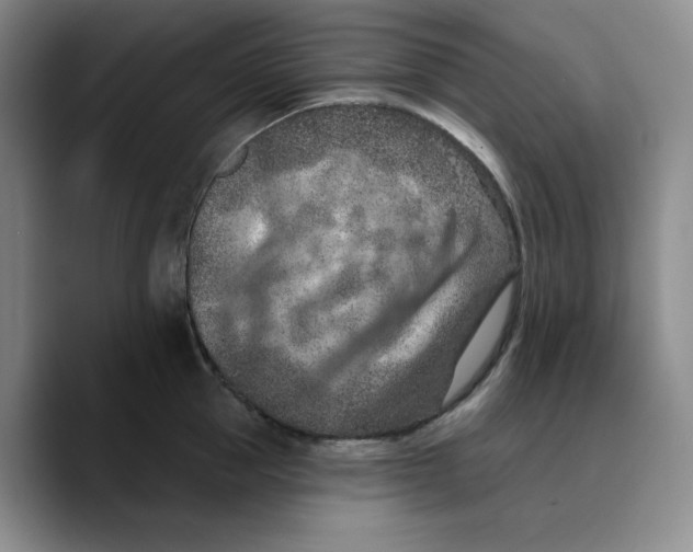 X0000089680953200707201657