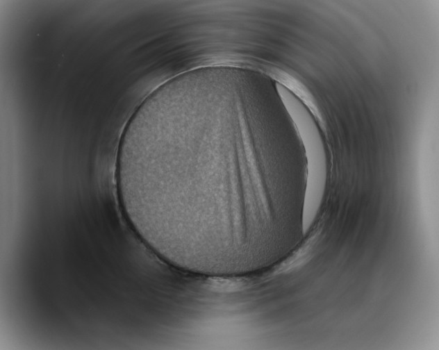 X0000089680954200707201657