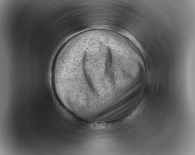 X0000089680955200707201657