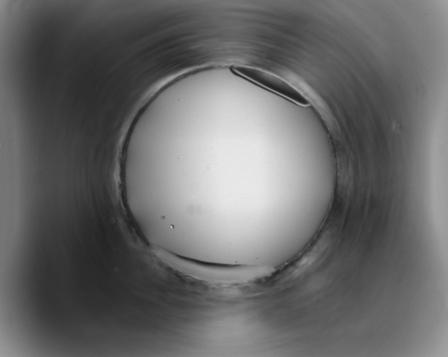 X0000089680956200707201657