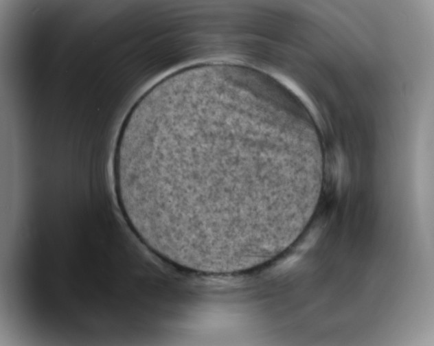 X0000089680959200707201657