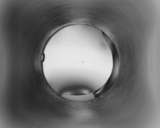 X0000089680960200707201657