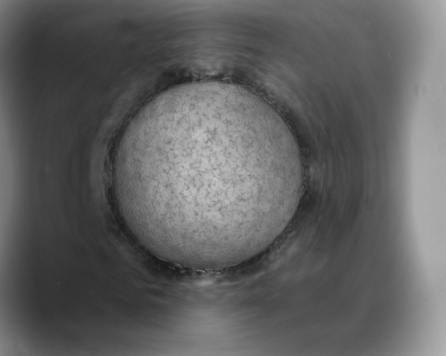 X0000089680961200707201656
