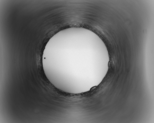 X0000089680964200707201656