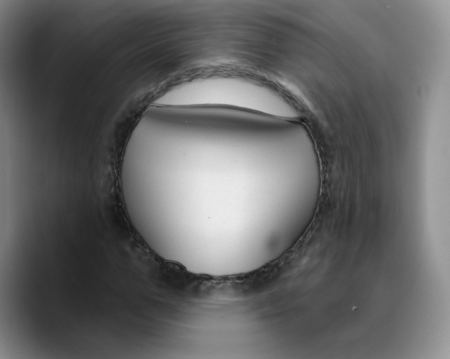 X0000089680967200707201656