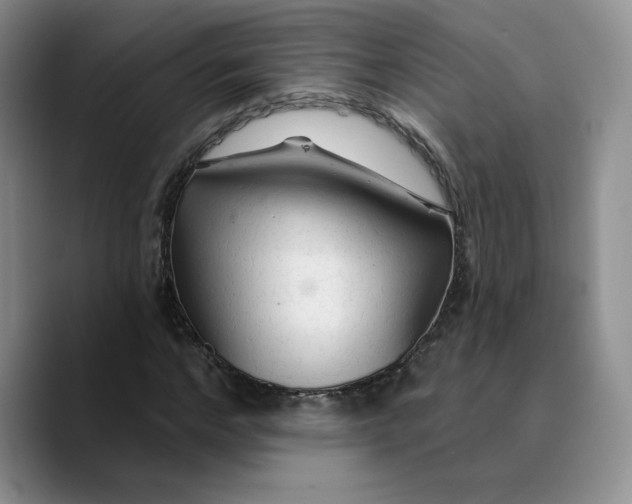 X0000089680968200707201656
