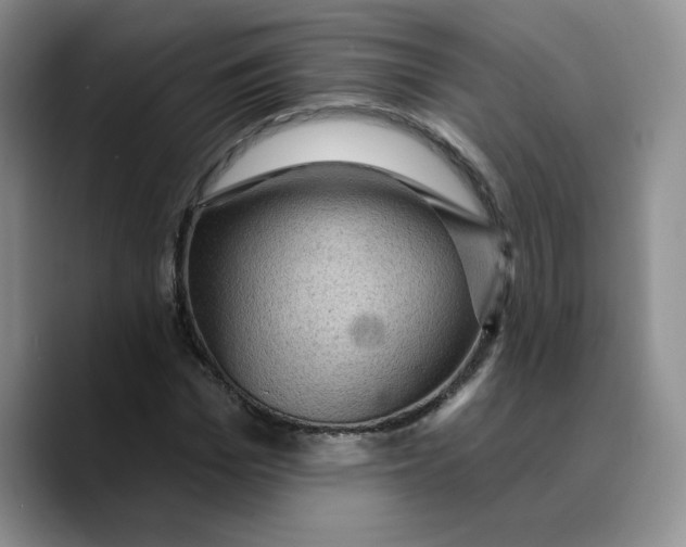 X0000089680969200707201656