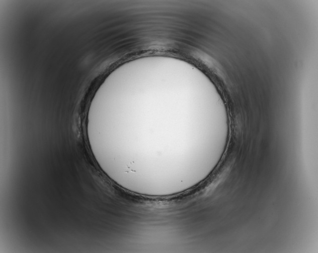 X0000089680970200707201656