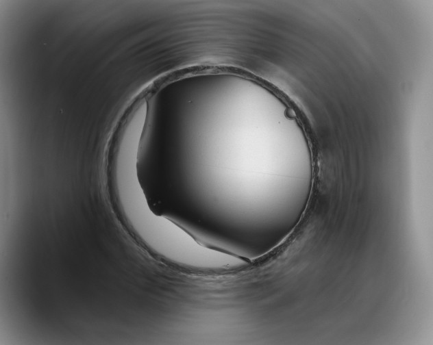 X0000089680972200707201656
