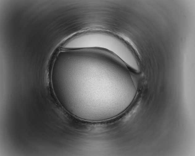 X0000089680973200707201656