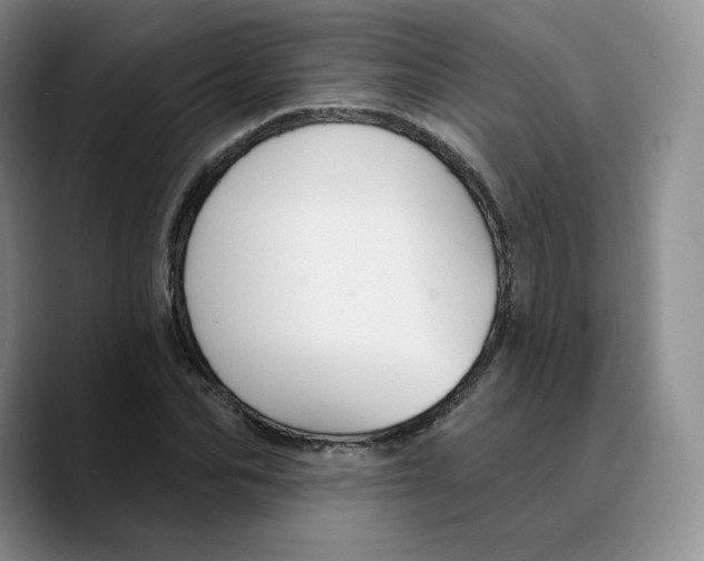 X0000089680974200707201656