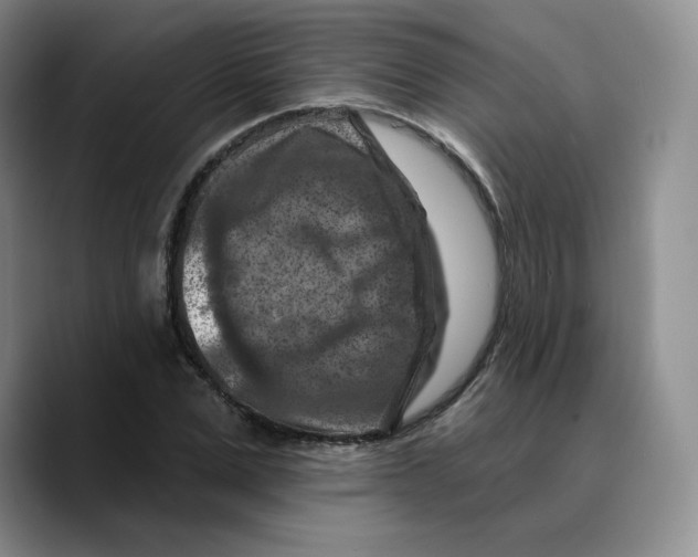 X0000089680975200707201656