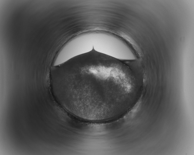 X0000089680977200707201656