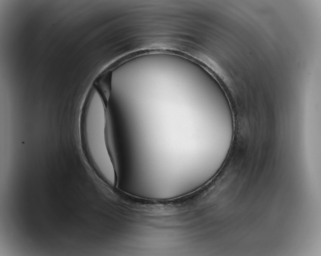 X0000089680980200707201656