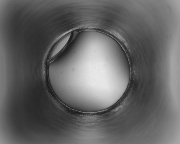 X0000089680981200707201656