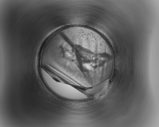 X0000089680983200707201656