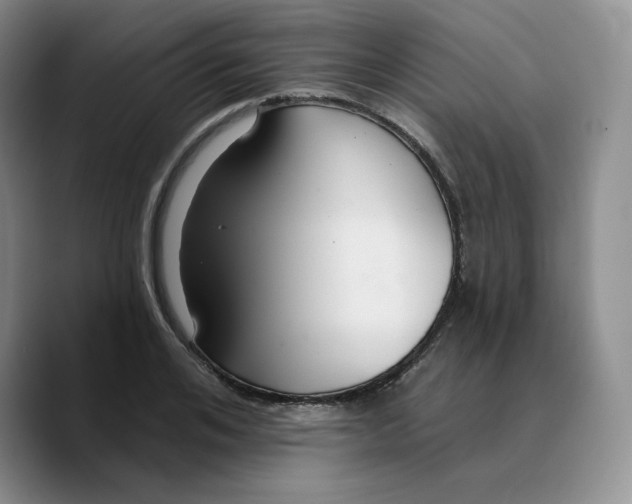 X0000089680984200707201656