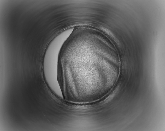 X0000089680985200707201656