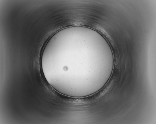 X0000089680986200707201656