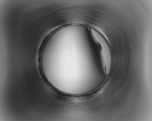 X0000089680987200707201656