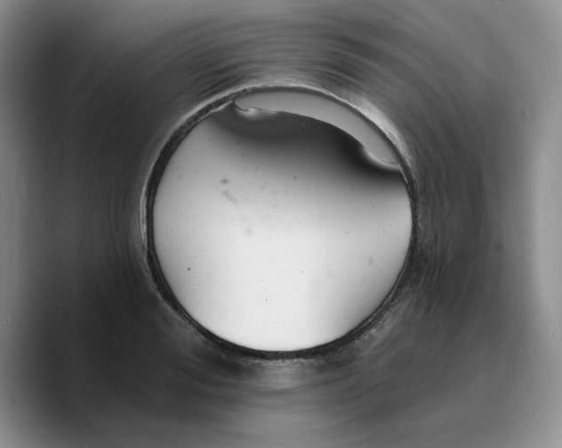 X0000089680988200707201656