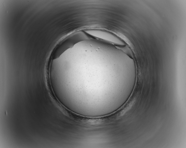 X0000089680989200707201656