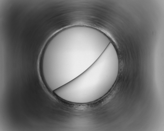 X0000089680991200707201656