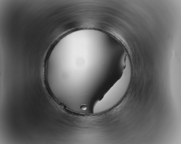 X0000089680992200707201656