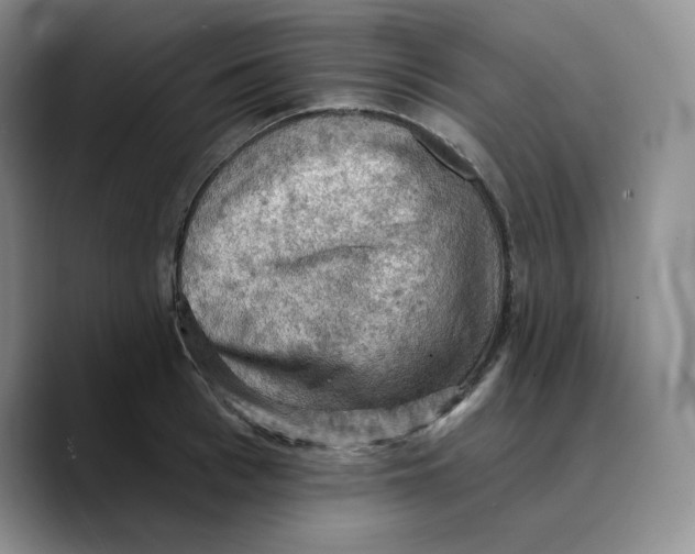 X0000089680993200707201656