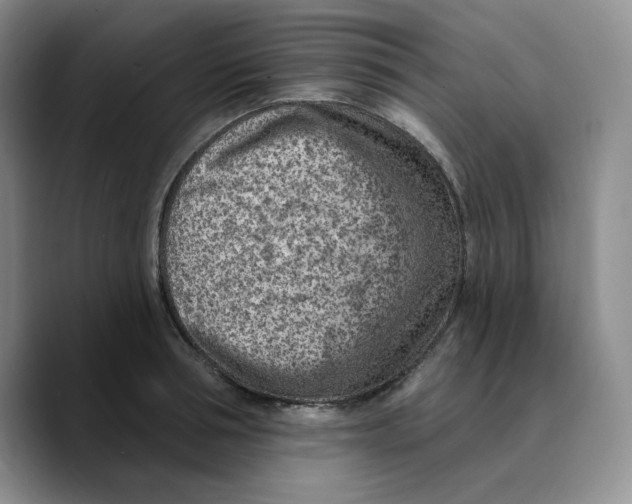 X0000089680994200707201656