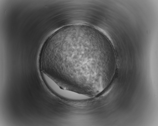 X0000089680995200707201656