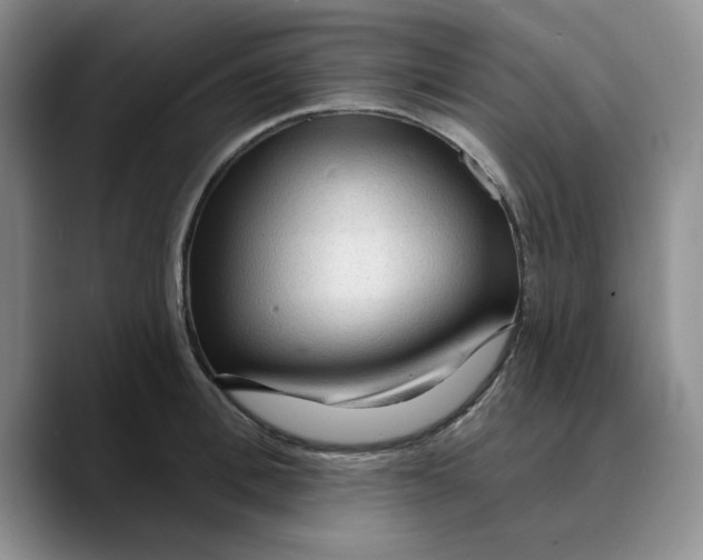 X0000089680996200707201656