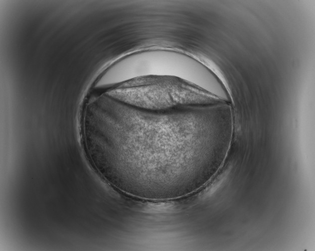 X0000089680997200707201656