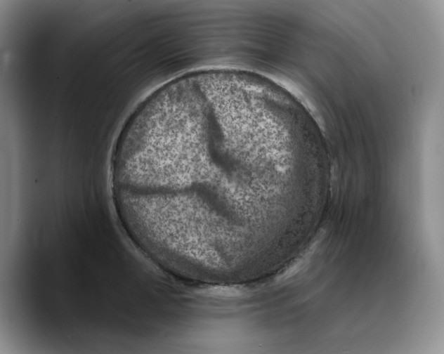 X0000089680998200707201656
