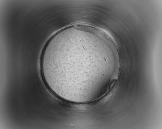 X0000089680999200707201656