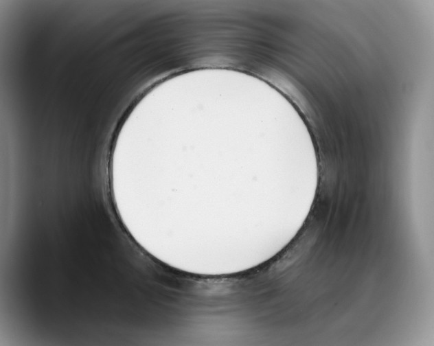 X0000089681000200707201656