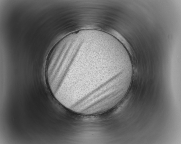 X0000089681002200707201656