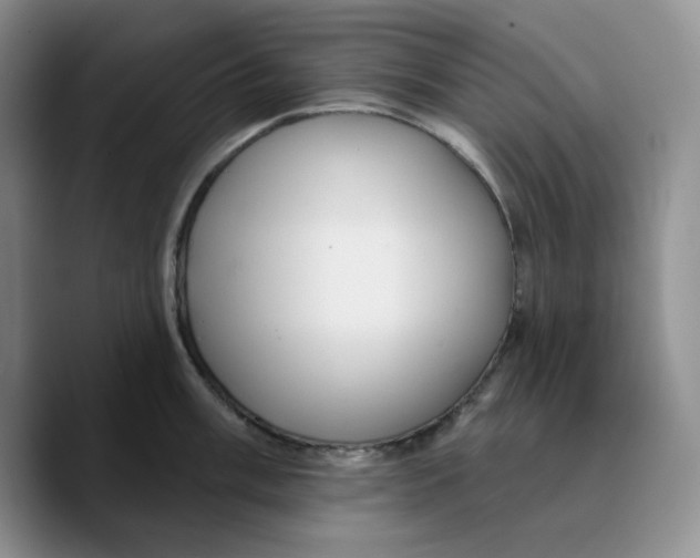 X0000089681003200707201656