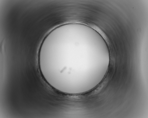 X0000089681004200707201656