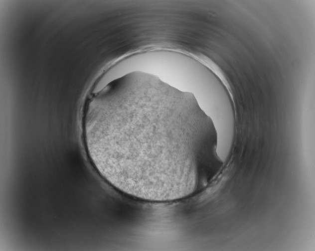 X0000089681005200707201656