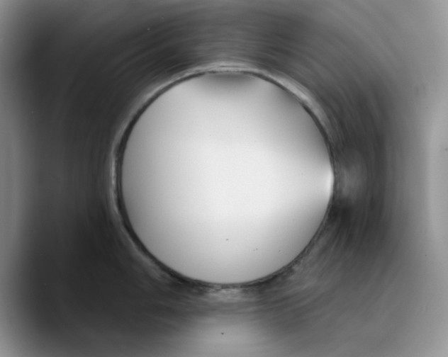 X0000089681006200707201656