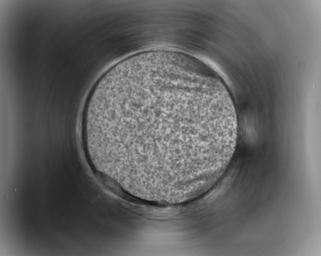 X0000089681007200707201656