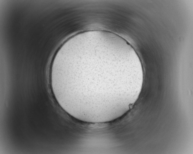 X0000089681008200707201656