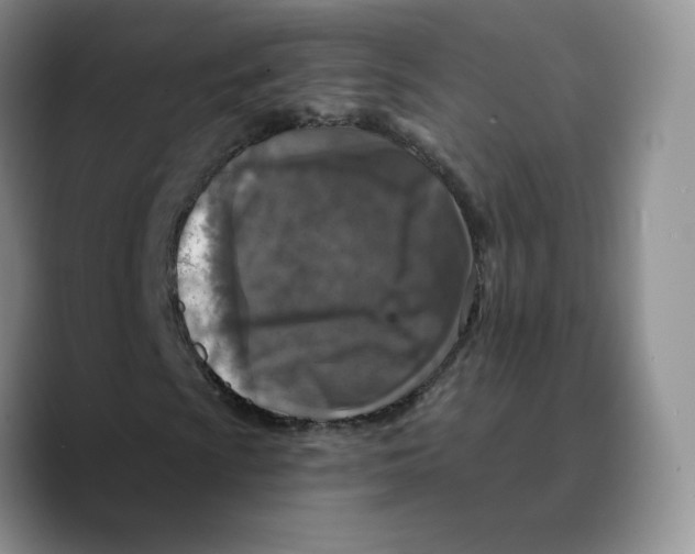 X0000089681009200707201655