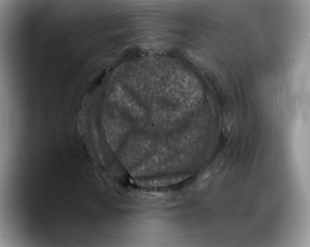 X0000089681010200707201655