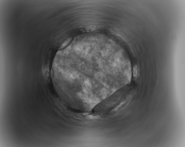 X0000089681011200707201655