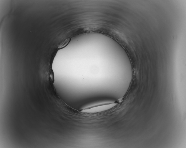 X0000089681012200707201655