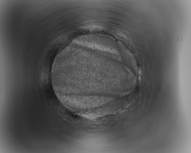 X0000089681014200707201655