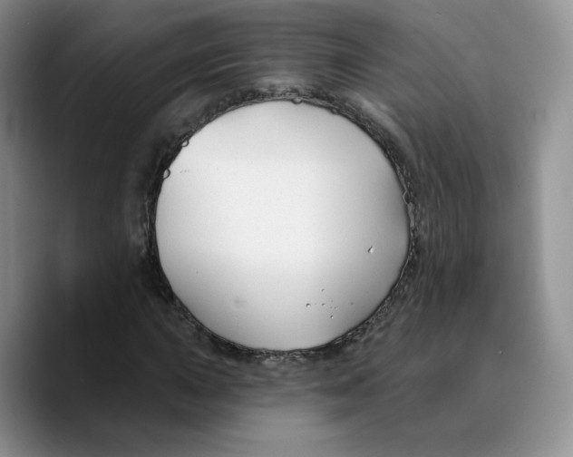 X0000089681015200707201655